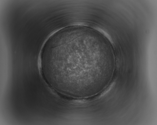 X0000101121125200807101537