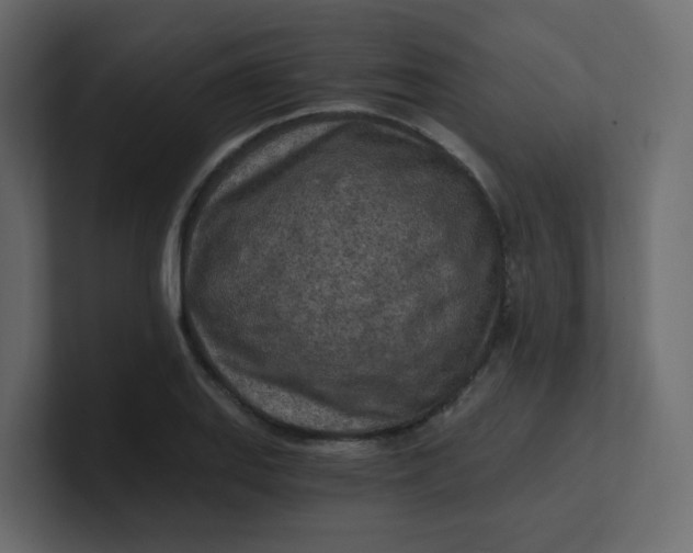 X0000101121127200807101537