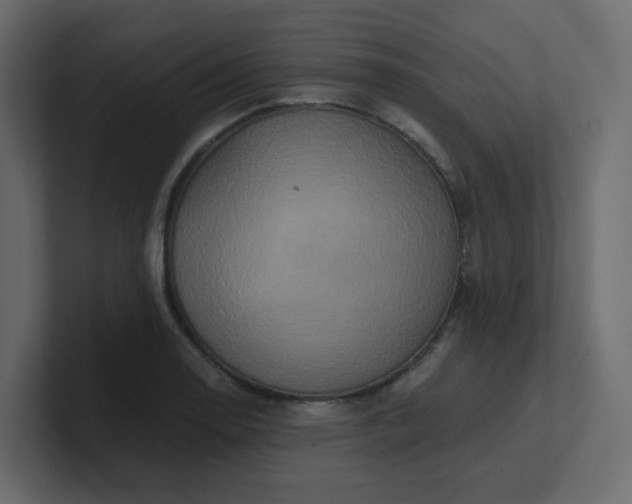X0000101121130200807101537