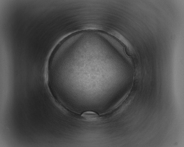 X0000101121132200807101537