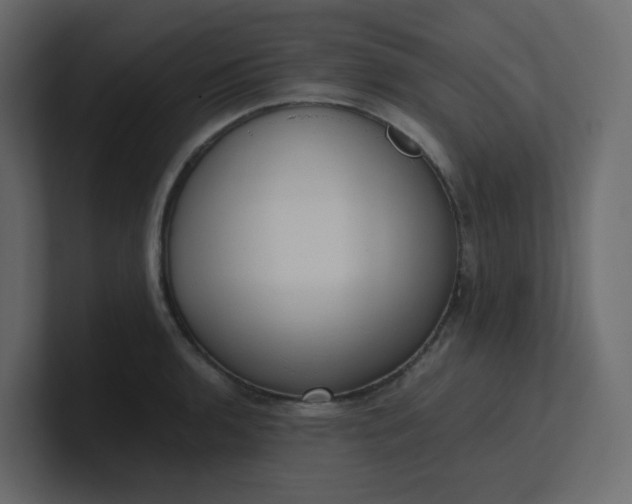 X0000101121136200807101537
