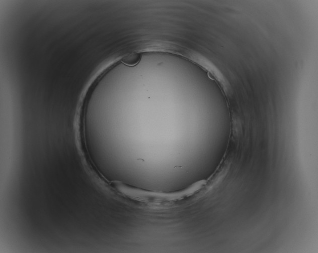 X0000101121138200807101537
