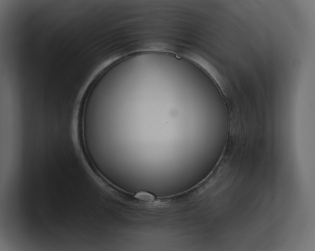 X0000101121139200807101537