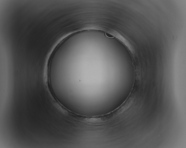 X0000101121140200807101537