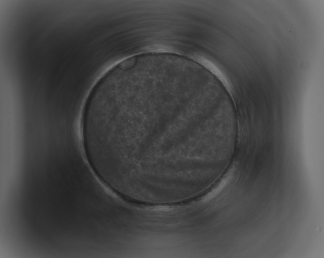 X0000101121141200807101537