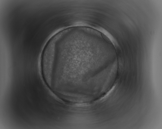 X0000101121142200807101537