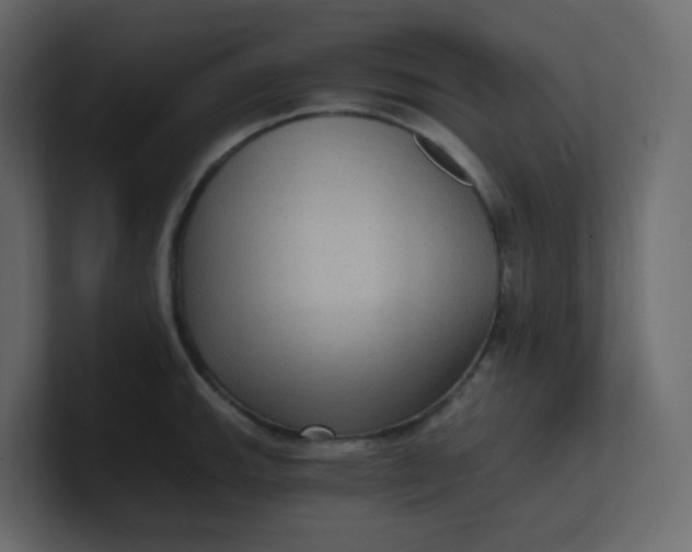 X0000101121143200807101537