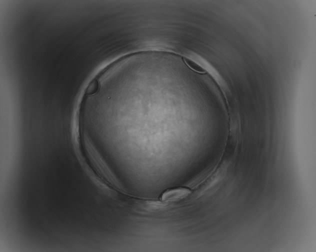 X0000101121144200807101537