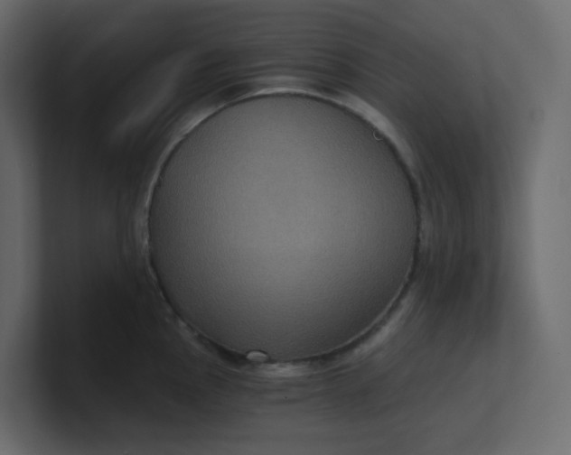 X0000101121145200807101537