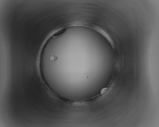 X0000101121146200807101537