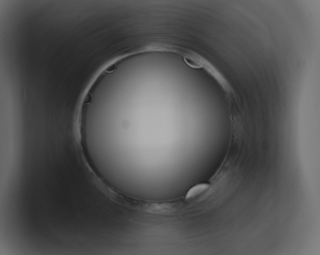 X0000101121148200807101537