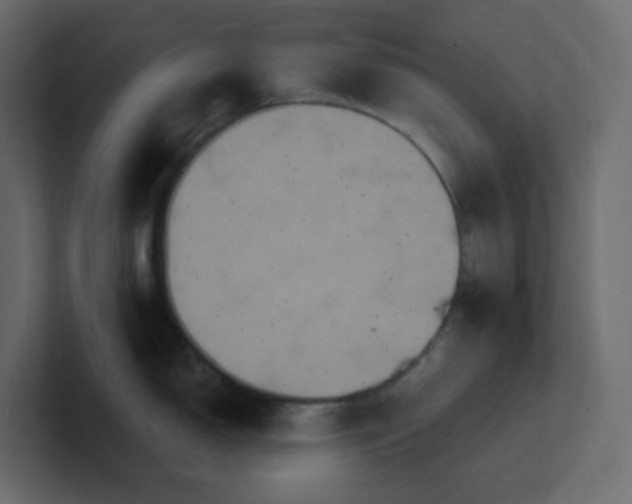 X0000101121150200807101537