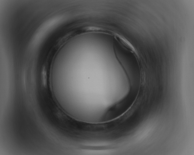 X0000101121151200807101537