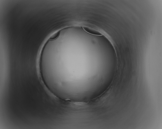 X0000101121152200807101537