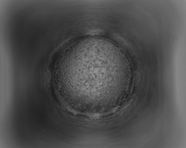 X0000101121158200807101536