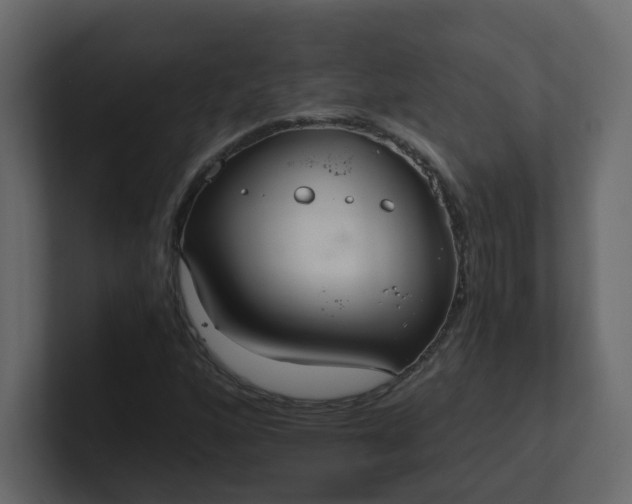 X0000101121160200807101536