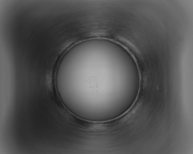 X0000101121162200807101536
