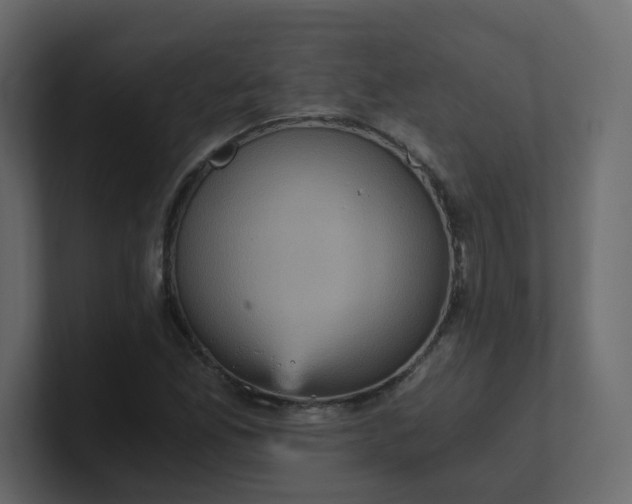 X0000101121165200807101536