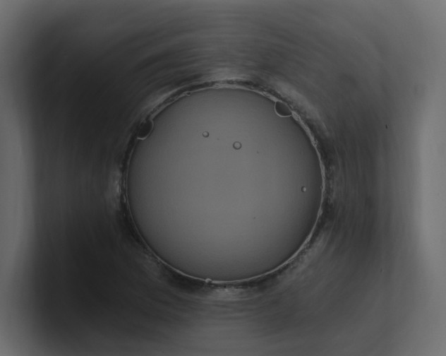X0000101121169200807101536