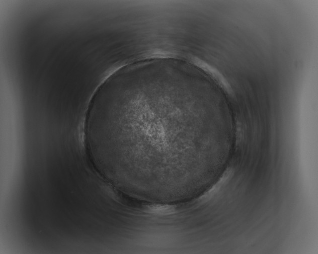 X0000101121170200807101536