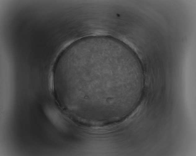 X0000101121171200807101536