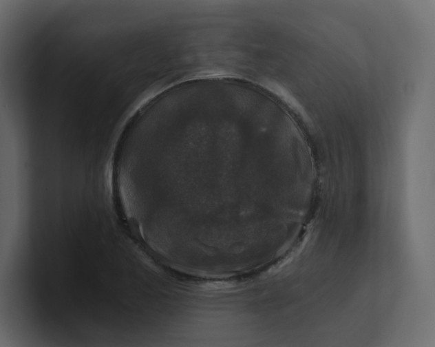 X0000101121173200807101536