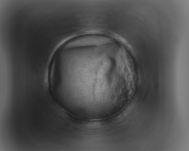X0000101121174200807101536