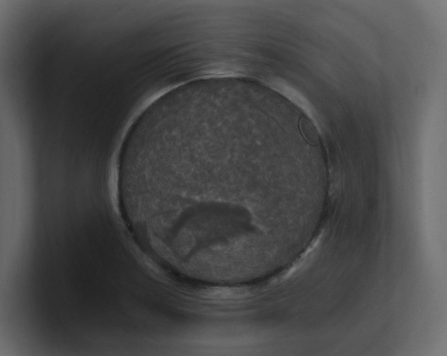 X0000101121179200807101536