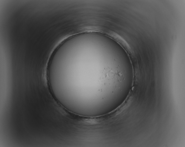 X0000101121182200807101536