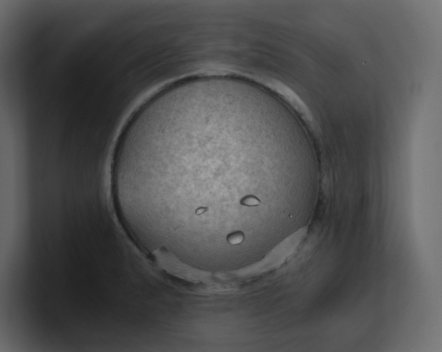 X0000101121183200807101536