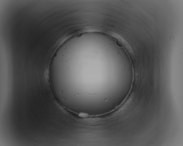 X0000101121185200807101536
