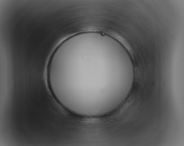 X0000101121187200807101536
