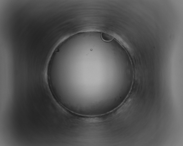 X0000101121189200807101536