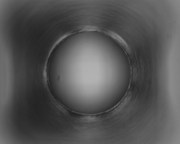 X0000101121190200807101536