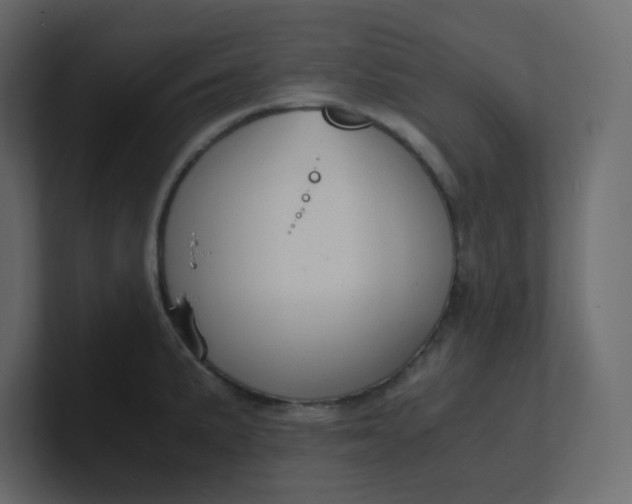 X0000101121191200807101536