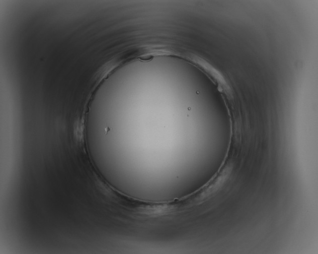 X0000101121193200807101536