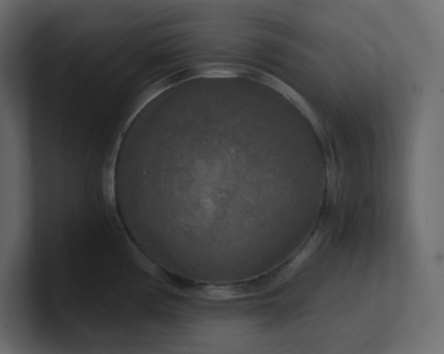 X0000101121194200807101536