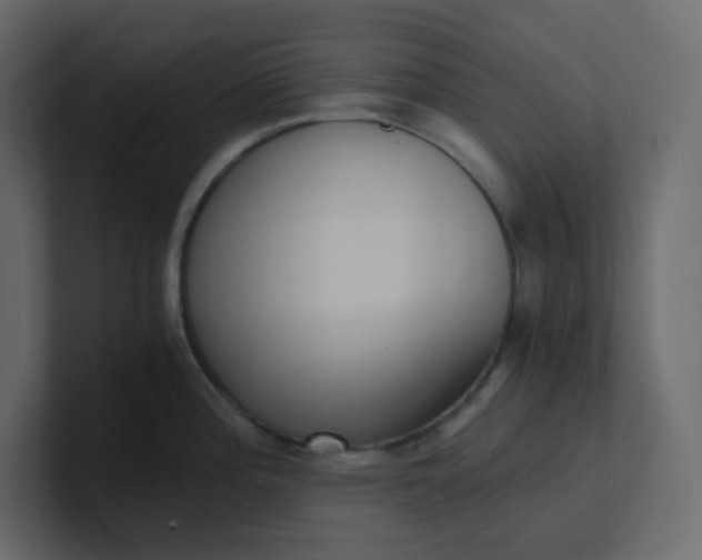 X0000101121196200807101536