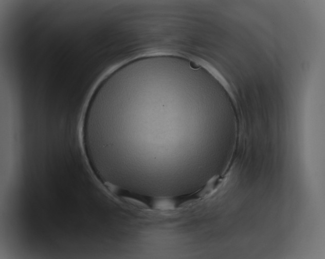 X0000101121197200807101536