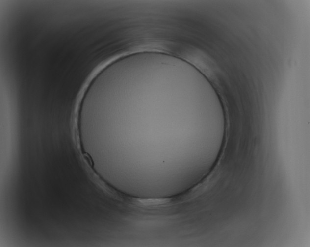 X0000101121200200807101536