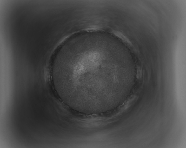 X0000101121208200807101535