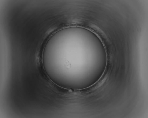 X0000101121210200807101535