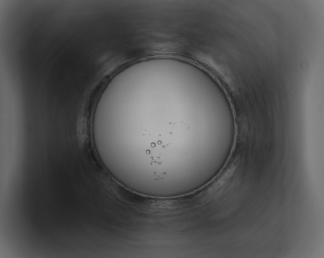X0000101121211200807101535