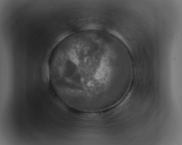 X0000101121219200807101535
