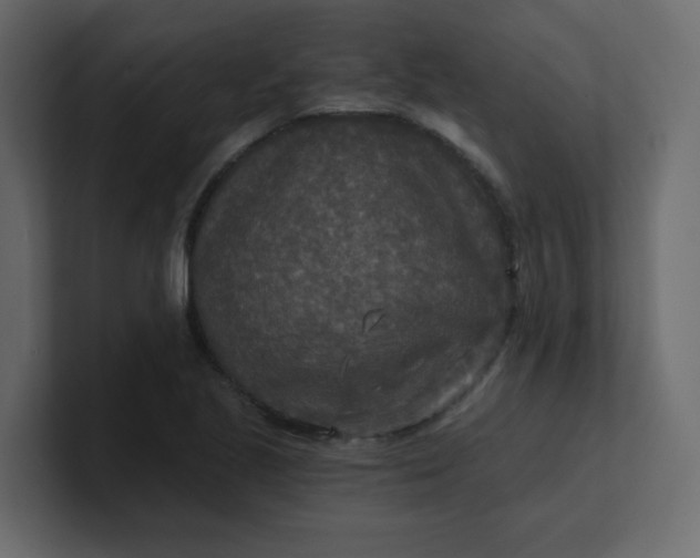 X0000101121221200807101535