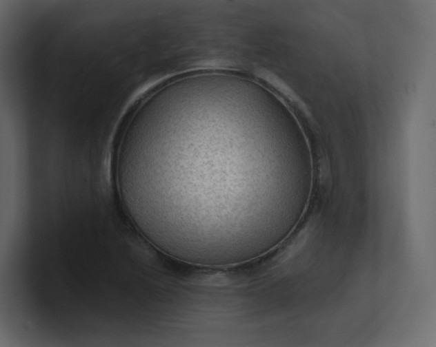 X0000101121222200807101536