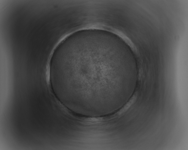 X0000101121224200807101536