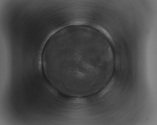 X0000101121226200807101536