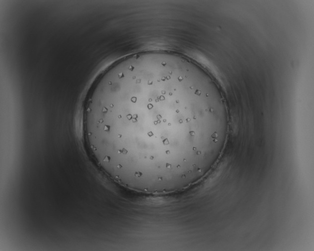 X0000101121227200807101536