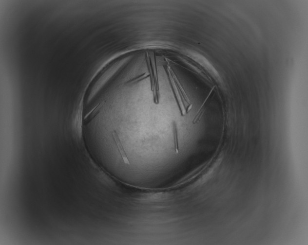X0000101121228200807101536